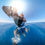 Thumbnail: A person rides a small boat with a large black paddle across the bright blue ocean, enjoying a coastal escape.