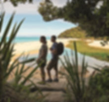 A couple stands on a sandy beach with backpacks, gazing at the ocean in Abel Tasman National Park. Framed by lush greenery.