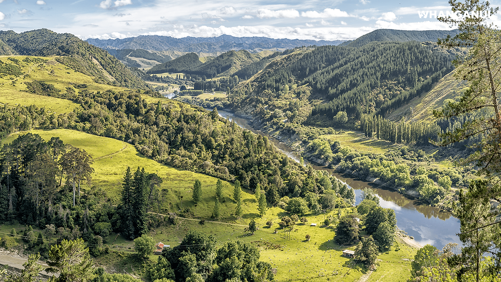 Thumbnail: Experience the breathtaking scenic view of a lush green valley where rolling hills embrace a winding Whanganui River.