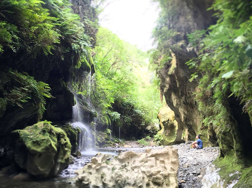 Man meditating in a remote New Zealand natural landscape surrounded by towering rocks, trees and a waterfall