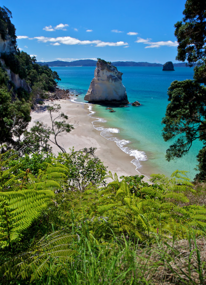 coromandel extrait
