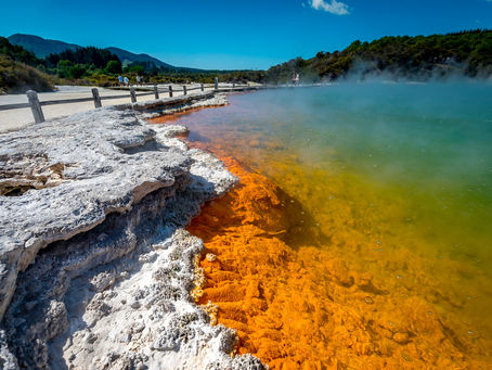 The Rotorua Rumble: My Kiwi Adventure Awaits – and Yours Can Too!
