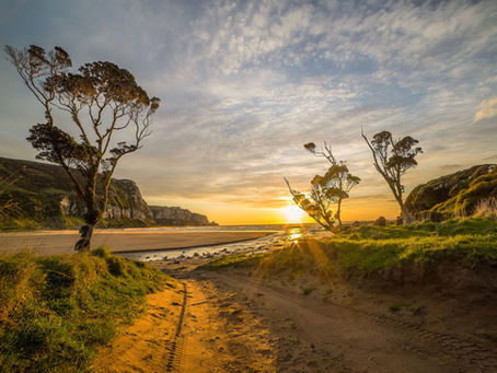 Why 'The White Lotus' Will Never Be Filmed in New Zealand (And Why That’s a Good Thing)