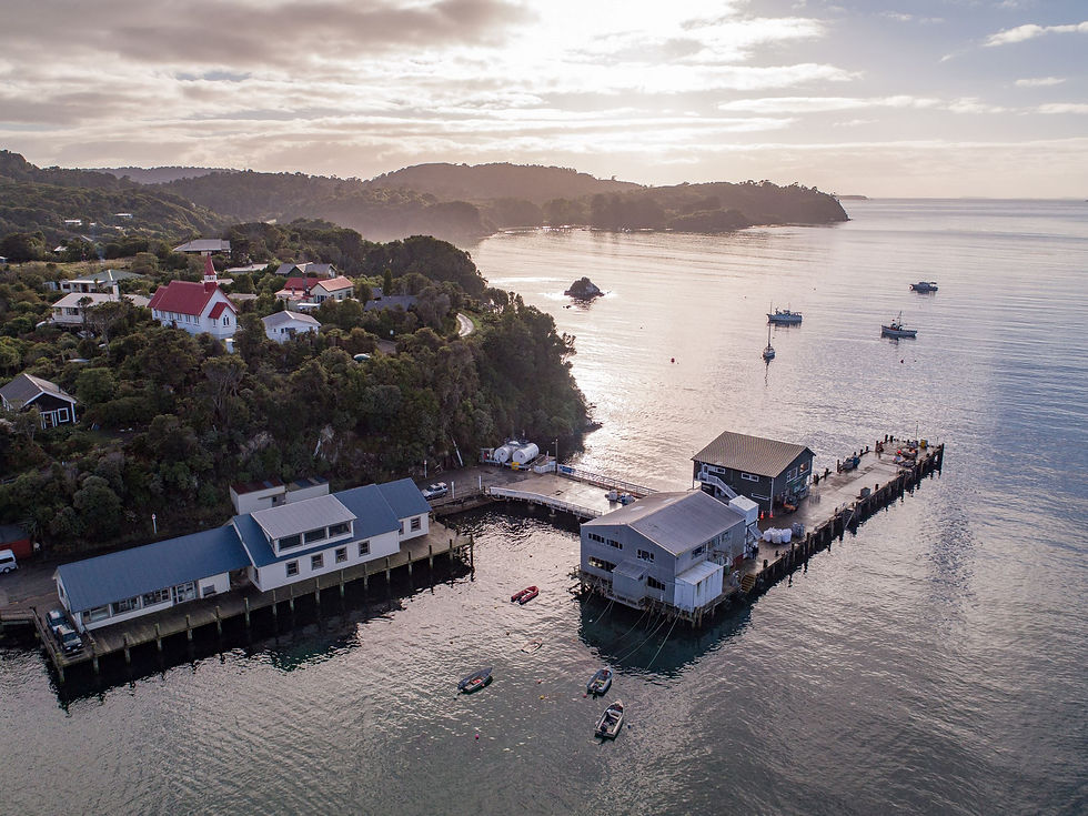 Thumbnail: A scenic coastal view at sunset reveals a small harbor with docks and boats near Oban, Stewart Island.