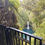 Thumbnail: At the observation point, Omanawa Falls cascade into a turquoise pool surrounded by lush green foliage.
