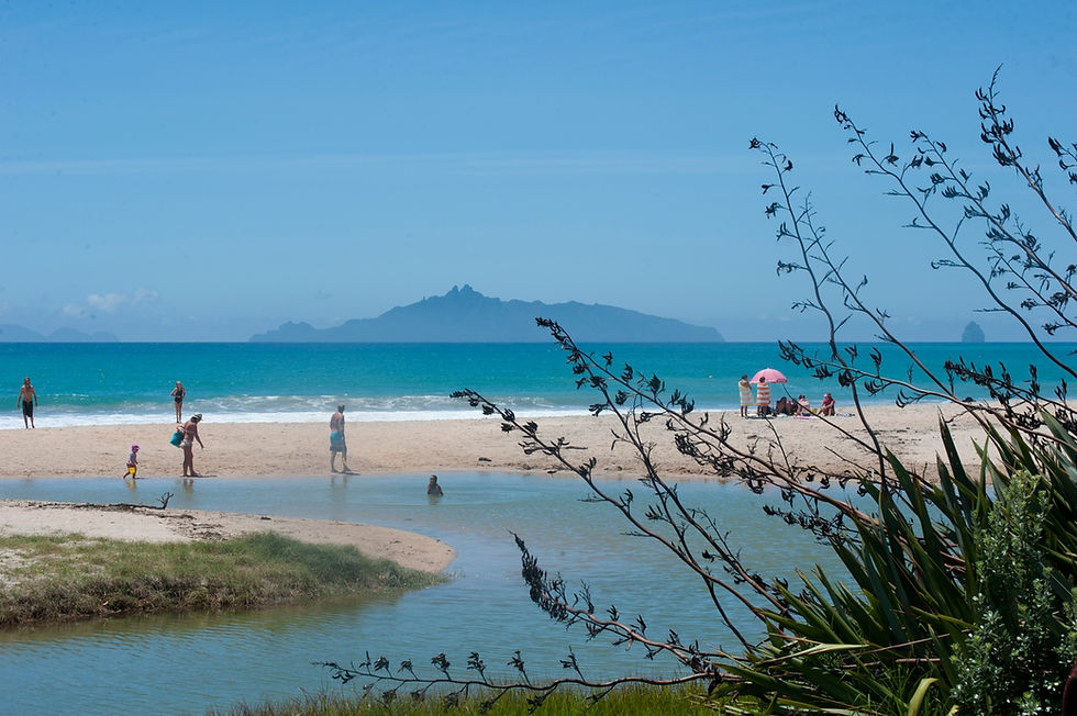 Thumbnail: Vibrant Waipu beach scene with people happily enjoying the sun, sand, and ocean waves.