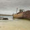 Thumbnail: A rusted shipwreck sits partially submerged in shallow, clear waters near a rocky shore of the Chatham Islands.