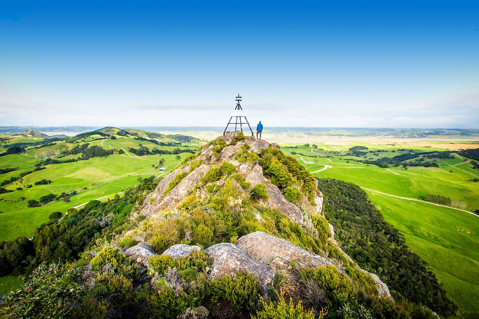 Thumbnail: A man stands triumphantly on a Tokatoka Peak in New Zealand, surrounded by breathtaking natural scenery.