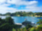 View of a serene harbor on Stewart Island, with several boats floating on calm blue water.