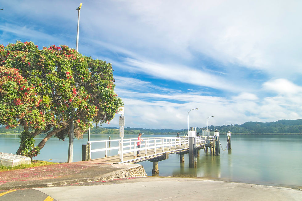 Thumbnail: A white wooden jetty spans gracefully over the serene Hokianga Harbour, reflecting the surrounding natural beauty.