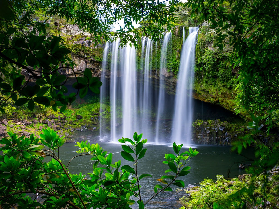 Thumbnail: Serene Rainbow Falls cascade down, embraced by vibrant green trees in a tranquil natural setting.