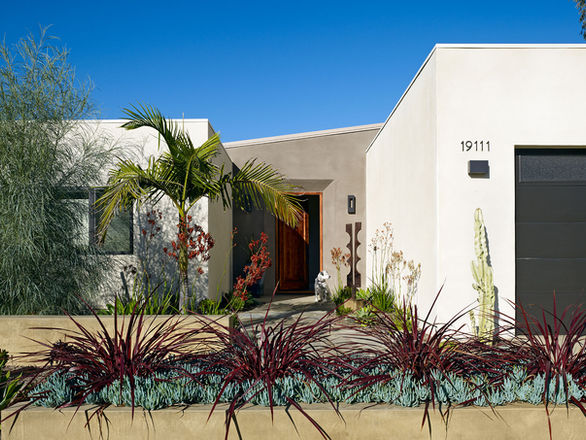 Turtle Rock House lush, native front garden contrasts the smooth, modern façade in texture and color, engaging street life while maintaining privacy.