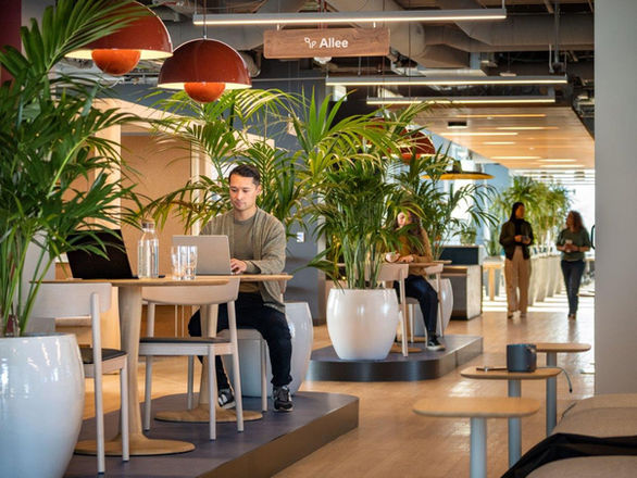 Thumbtack Library SOMA San Francisco with flexible, social and focused work spaces designed for hybrid workspace connection.