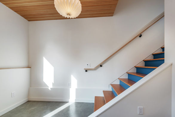 Bernal Heights House wood and vibrant blue stairs connecting floors through the house and a douglas fir slatted ceiling above.