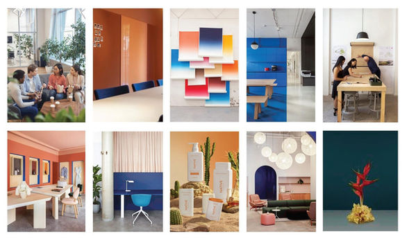 Native SF schematic mood board with warm complimentary palette inspired by their growing portfolio of scents and social areas and Native blue for quiet focused areas.