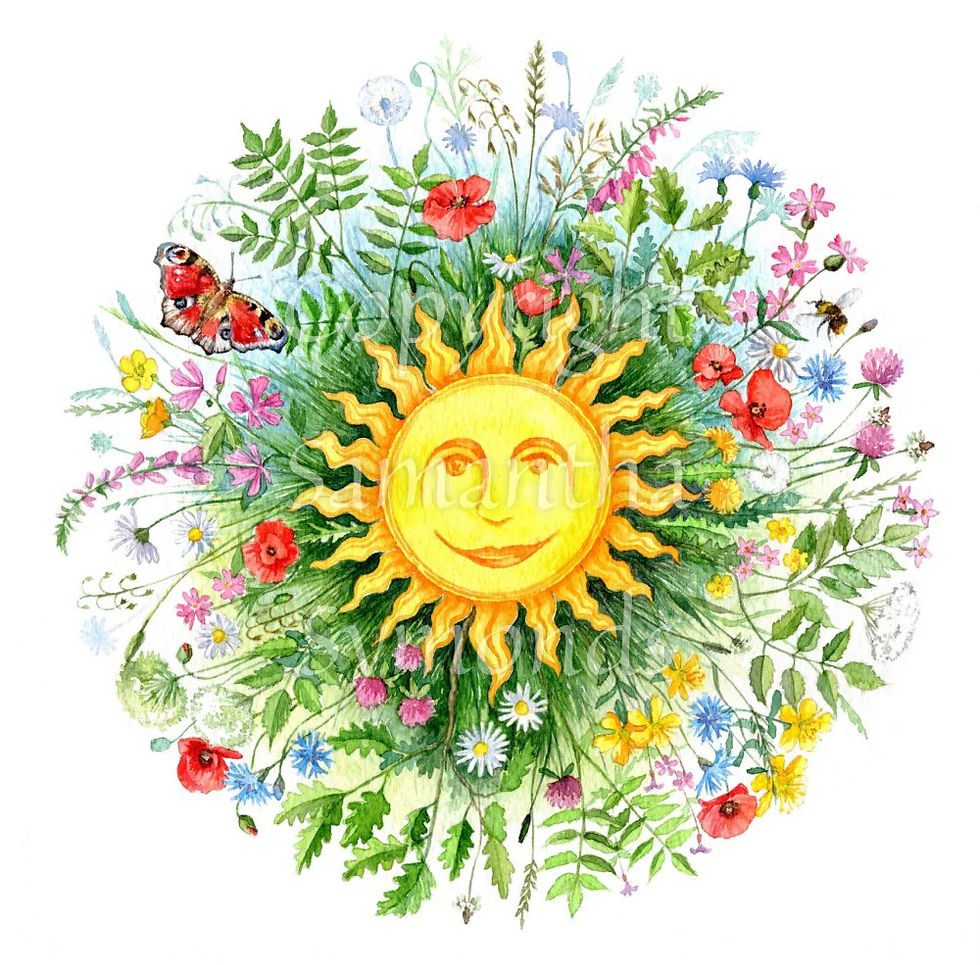 An Afternoon To Retreat- Solstice Spark