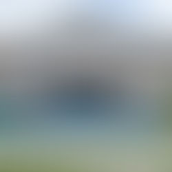 New theme, song, and activities in 2024 scholar-led camp