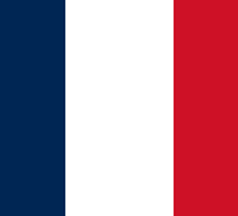 BANDEIRA FRANÇA.png