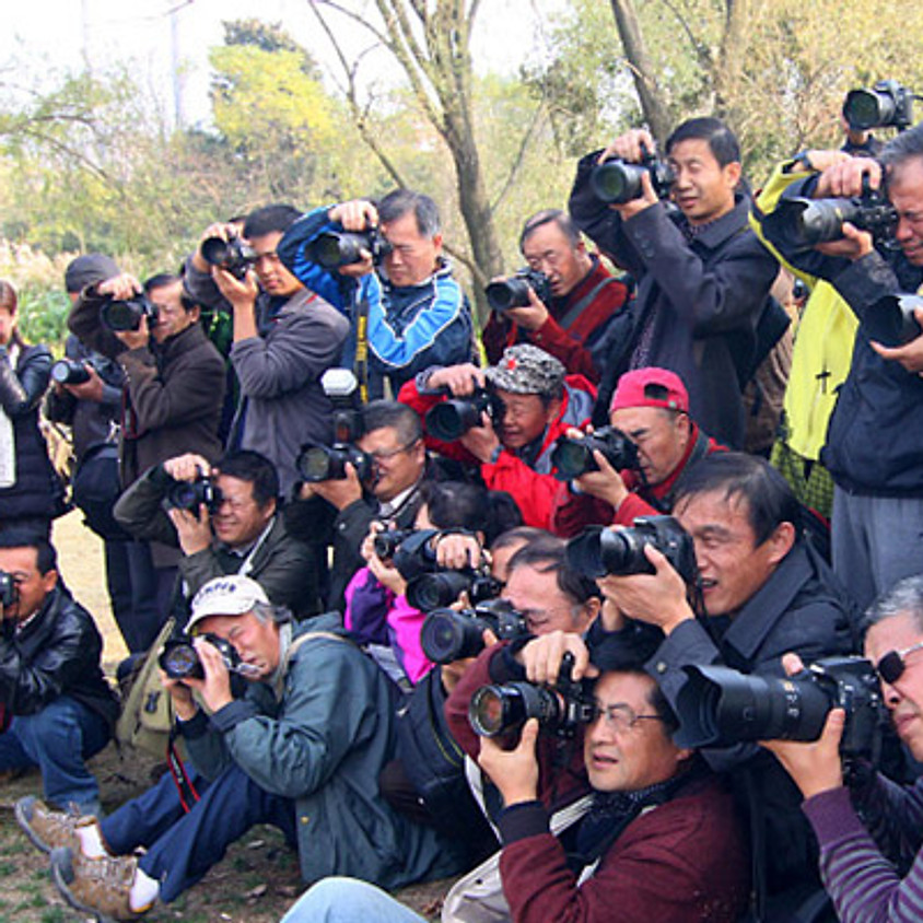 7:00PM PAI Photography Club