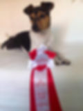 Teitein Dancing Queen :: RIO