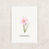 Miniaturbild: Samenpapierkarten Set Aquarell