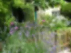 Garden with lavender, roses, and lush greenery in front of a brick house with white windows. Wooden fence and vibrant foliage under a sunny sky.
