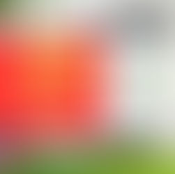 Du 6 au 20 juin 2025, renforcez votre isolation et votre confort avec -30% sur nos volets roulants solaires !