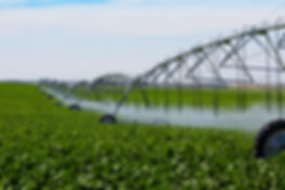 Volcanix Foliar Applications