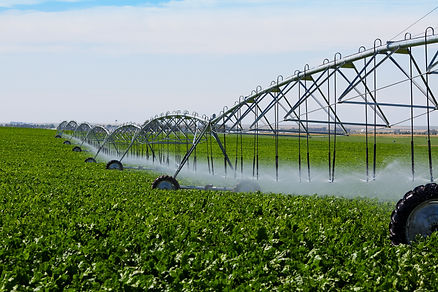 Volcanix Foliar Applications