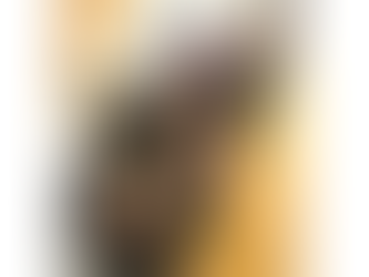 Quelle giovani con disabilità, la loro identità adulta e il confronto con la “Signorina Società”