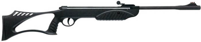 Miniatura: Ruger Explorer Youth
