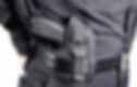 Miniatura: Concealed Belt Holster