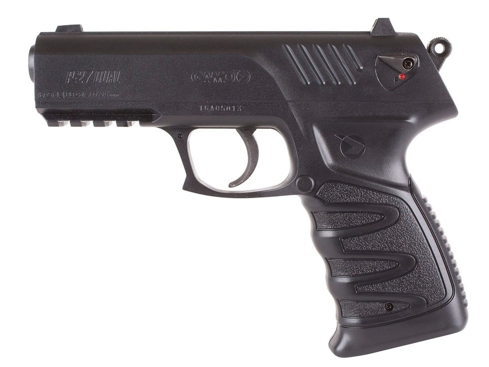 Miniatura: Gamo P-27 Dual Pellet/BB