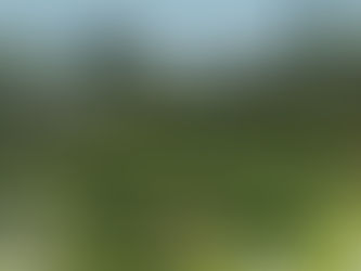 Cosa fare a Verona d’estate: vivi l’esperienza di una degustazione di vino unica