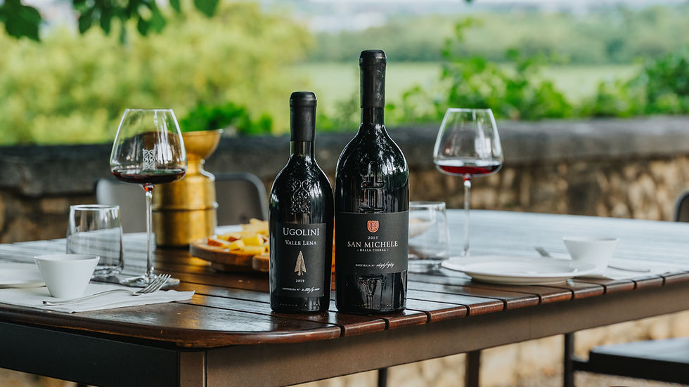 Wine Tour Valpolicella Ugolini Vini