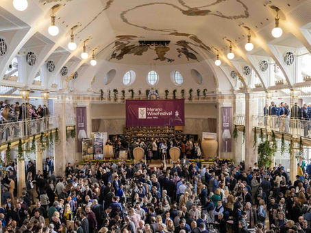 Merano Wine Festival 2024: Ugolini Vini racconta la Valpolicella nel salotto del vino buono d’Europa