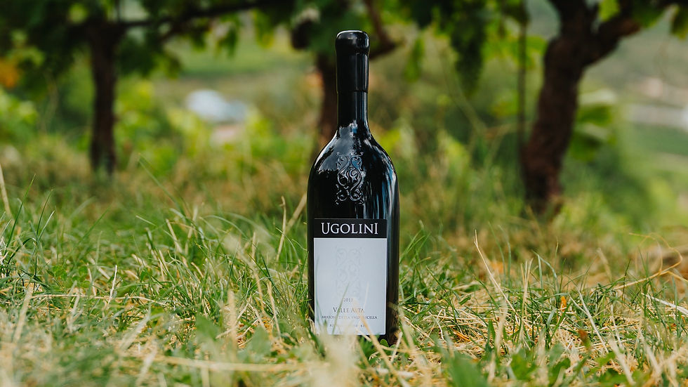 Amarone Valpolicella