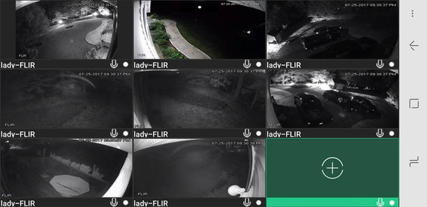 Nine lady-FLIR nighttime security camera feeds.