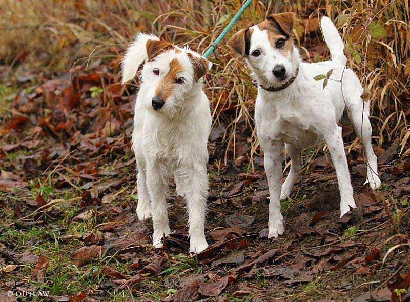 Winston und Helene