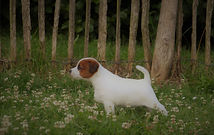 IMG_8294.jpg