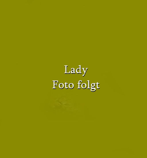 Lady