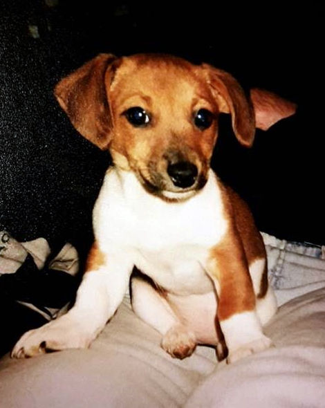 Nala