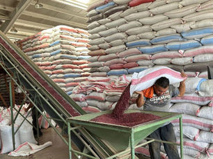 Frijoles dañados en el IHMA habrían alimentado a 1.6 millones de hondureños