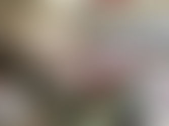 Frijoles dañados en el IHMA habrían alimentado a 1.6 millones de hondureños
