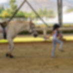 Clases de Equitacion en el Club La Candelaria Santiago Chile