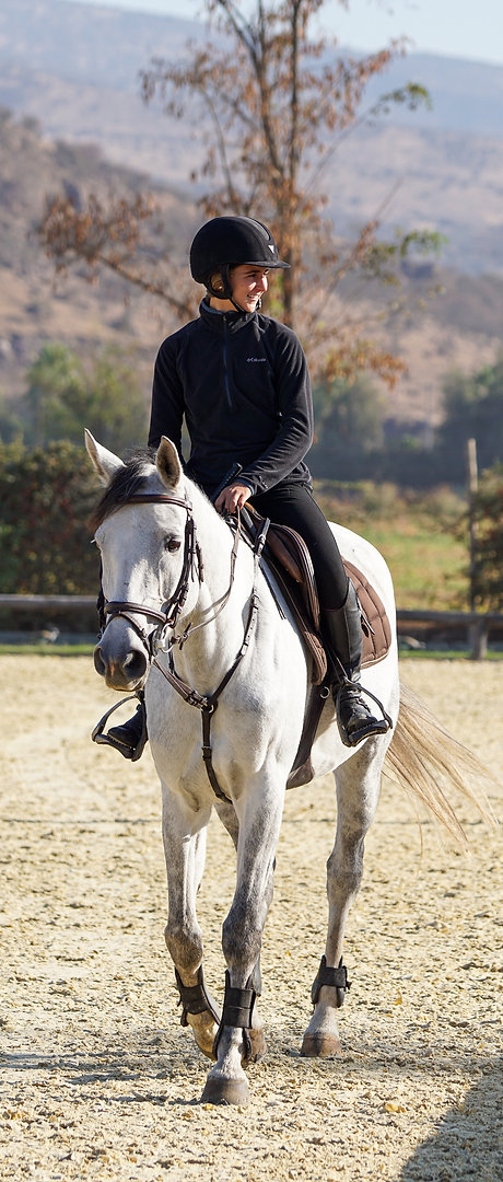 iniciado el trabajo con su caballo