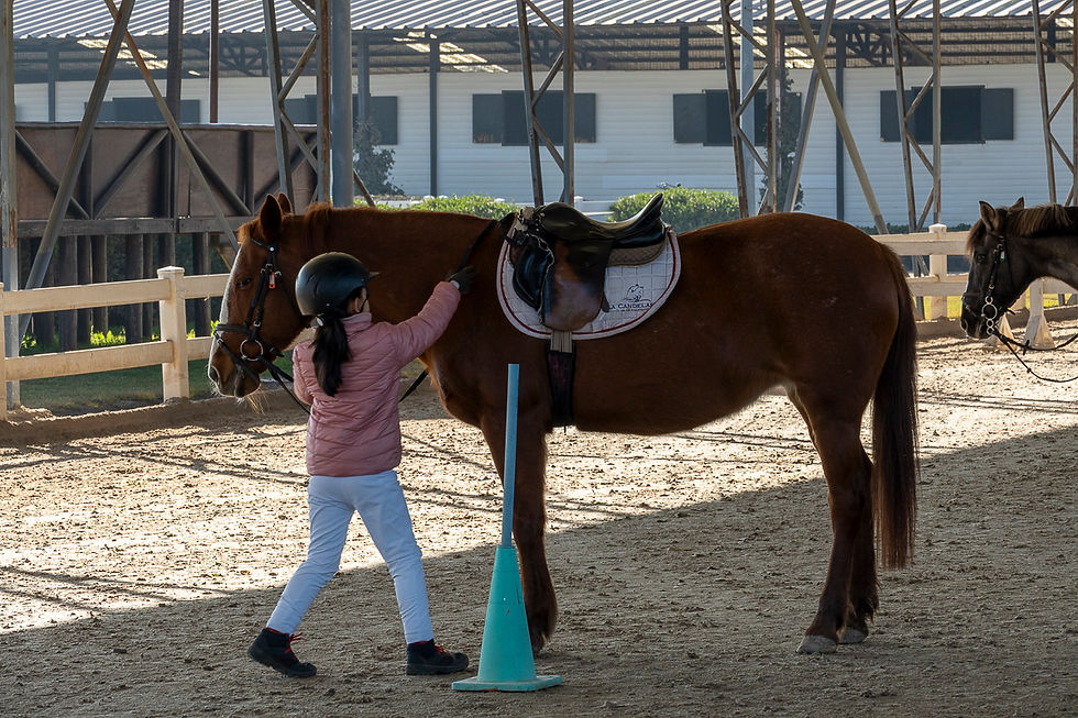 Trabajando la relacion con el caballo en el Pony Club