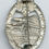 Thumbnail: C.E. Juncker NS PAB WITH SILVER WASH FINISH