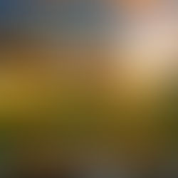 Full Day Camp Registration is Open!