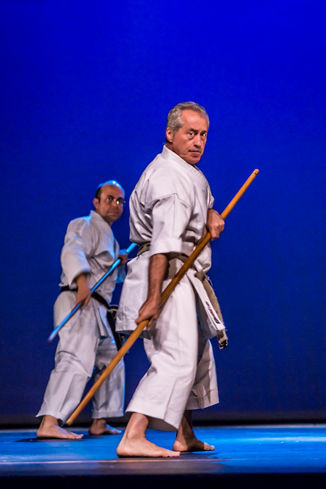 Exhibición de Artes Marciales
